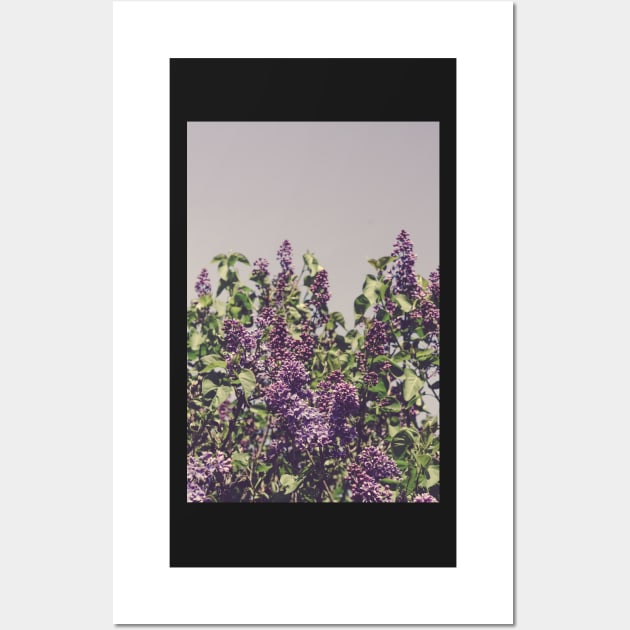 Wild Lilacs Wall Art by oliviastclaire